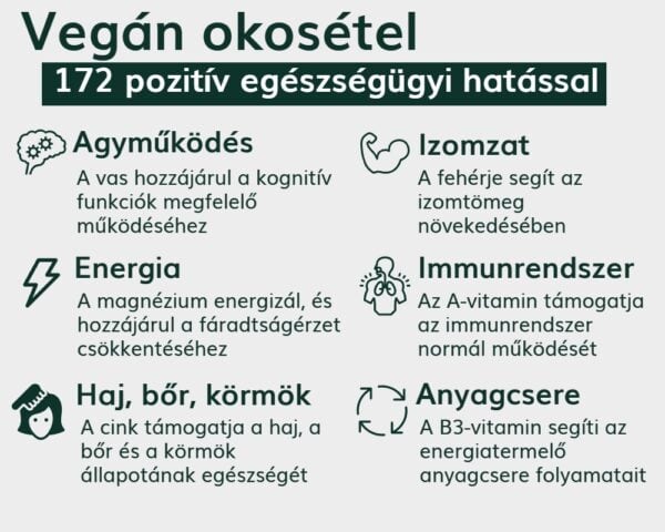 SwellBlend Shake | Kényelmes, gyors és tápláló étkezés finom ízzel - Image 8