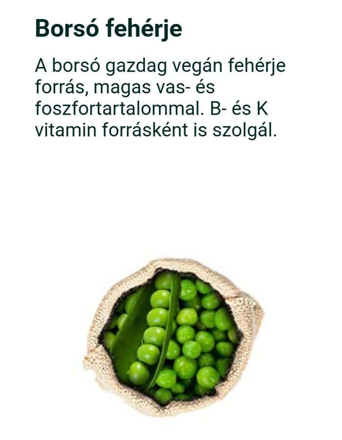 BORSÓ