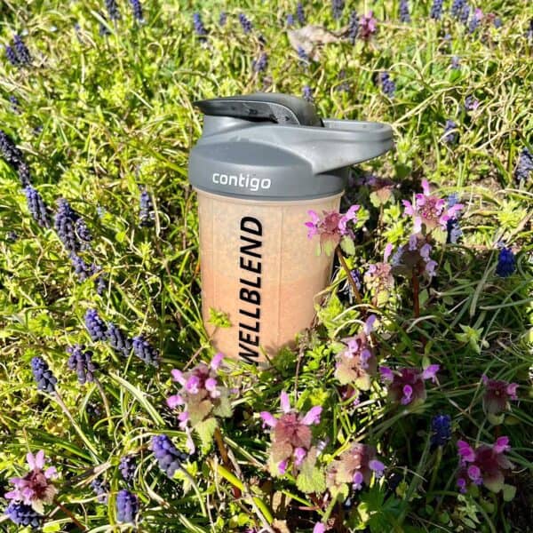 Shaker_virágok_fűben